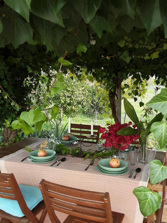 Finca Can Paci Санта-Эулалия-дель-Рио Экстерьер фото