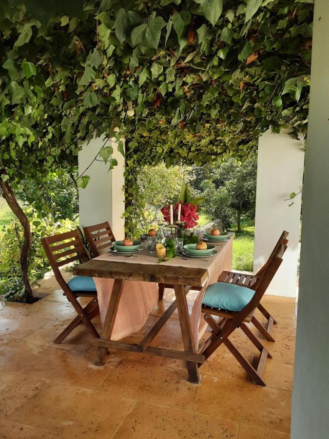 Finca Can Paci Санта-Эулалия-дель-Рио Экстерьер фото
